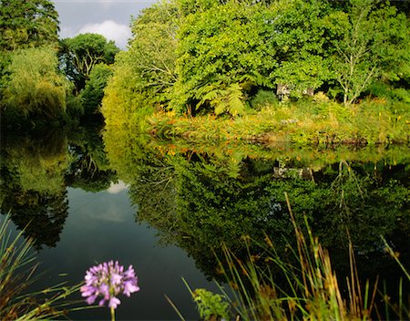 stratford - Stratford, Taranaki, North Island, Nouvelle-Zélande Photographie de stock - Rights-Managed, Code: 700-00556078