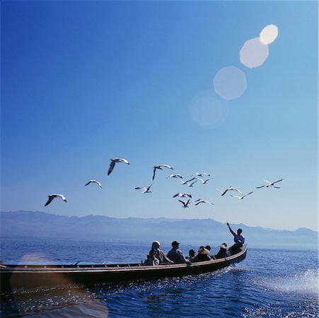 flock of birds in a clear sky - People in Boat, Looking at Birds, Inle Lake, Myanmar Stock Photo - Rights-Managed, Code: 700-00556108