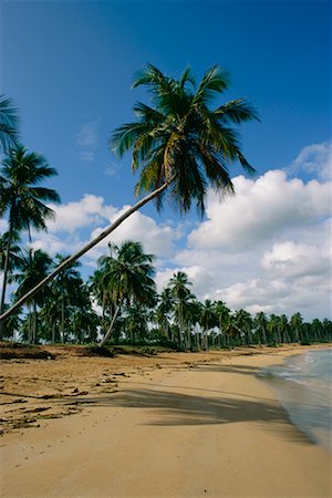 puerto rico beach - Scenic, Puerto Rico Stock Photo - Rights-Managed, Code: 700-00556675