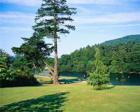 simsearch:700-02260056,k - River and Path through Park, Windermere, Cumbria, England Foto de stock - Con derechos protegidos, Código: 700-00556694