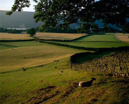 simsearch:700-00184377,k - Lake District, Cumbria, England Foto de stock - Con derechos protegidos, Código: 700-00556700