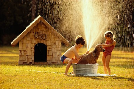 spraying water hose - Children Washing the Dog Stock Photo - Rights-Managed, Code: 700-00556839