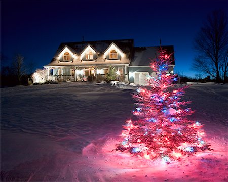 snowy night at home - Christmas Tree, Toronto, Ontario, Canada Stock Photo - Rights-Managed, Code: 700-00557686