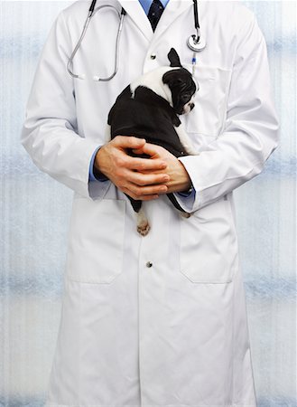 scared dog - Veterinarian Holding Puppy Stock Photo - Rights-Managed, Code: 700-00551173