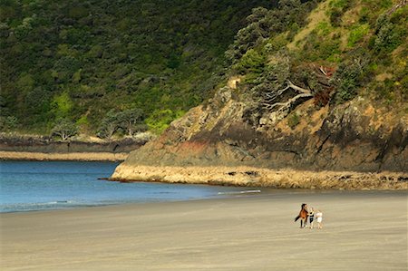 simsearch:862-07690525,k - Onetangi Beach, Waiheke Island, New Zealand Foto de stock - Con derechos protegidos, Código: 700-00553947