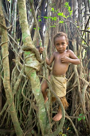 Boy Climbing Tree, Ekasup Cultural Village, Efate, Vanuatu Stock Photo - Rights-Managed, Code: 700-00553969