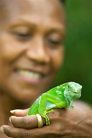 port vila - Woman Holds A Banded Iguana At The Secret Garden, Port Vila, Efate, Vanuatu Foto de stock - Con derechos protegidos, Código: 700-00553972