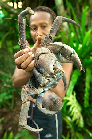 Woman Holds A Coconut Crab At The Secret Garden, Port Vila, Efate, Vanuatu Fotografie stock - Rights-Managed, Codice: 700-00553973