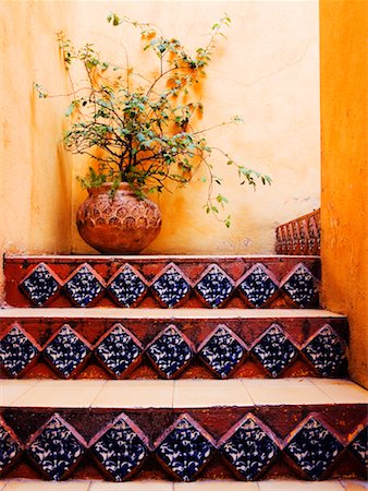 simsearch:700-00560825,k - Escalier et plante en pot, San Miguel de Allende, Guanajuato, Mexique Photographie de stock - Rights-Managed, Code: 700-00560826