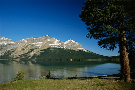 simsearch:700-00425321,k - Bow Lake, Alberta, Canada Photographie de stock - Rights-Managed, Code: 700-00588711
