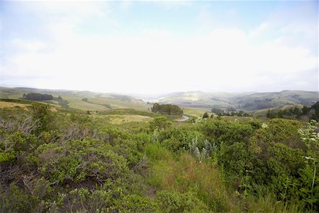 Countryside, Near Half Moon Bay, San Francisco Peninsula, California, USA Stock Photo - Rights-Managed, Code: 700-00588774