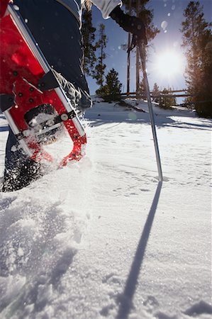 pictures of man snowshoeing - Close-Up of Person Snowshoeing Stock Photo - Rights-Managed, Code: 700-00591171