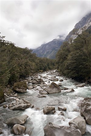 River, Fiordland National Park, Milford Sound, South Island, New Zealand Foto de stock - Con derechos protegidos, Código: 700-00592402