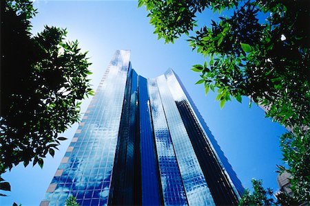 Office Tower through Trees, Denver, Colorado, USA Stock Photo - Rights-Managed, Code: 700-00592427