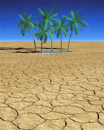 drought and dried tree - Desert Oasis Stock Photo - Rights-Managed, Code: 700-00606709