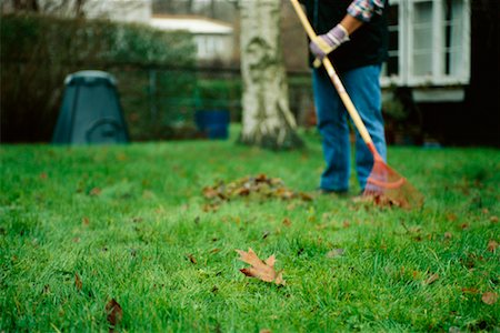 raking leaves - Person Raking Leaves Stock Photo - Rights-Managed, Code: 700-00607191