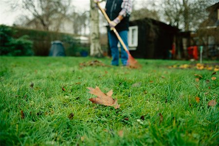 simsearch:649-08563716,k - Person Raking Leaves Foto de stock - Con derechos protegidos, Código: 700-00607192