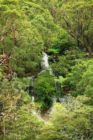 Flat Rock Falls, Garigal National Park, New South Wales, Australia Stock Photo - Rights-Managed, Code: 700-00607591