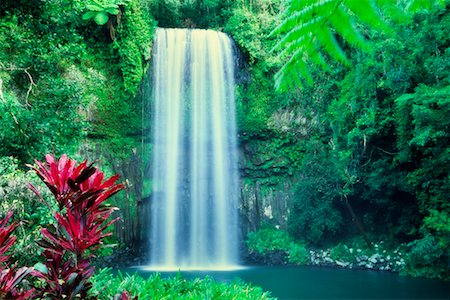 simsearch:700-00183603,k - Millaa Millaa Falls, plateau d'Atherton, Queensland, Australie Photographie de stock - Rights-Managed, Code: 700-00607738