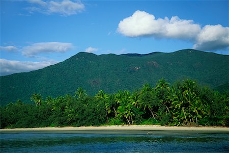 Myall Beach, Cape Tribulation, Daintree National Park, Queensland, Australia Foto de stock - Con derechos protegidos, Código: 700-00607733