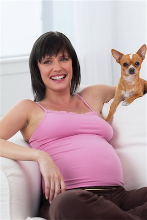 pregnant brunette with dog - Pregnant Woman with Chihuahua Stock Photo - Rights-Managed, Code: 700-00608046