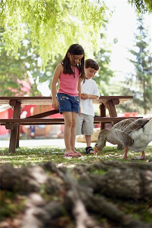 feeding animals by boy - Kids Feeding Goose Stock Photo - Rights-Managed, Code: 700-00609497