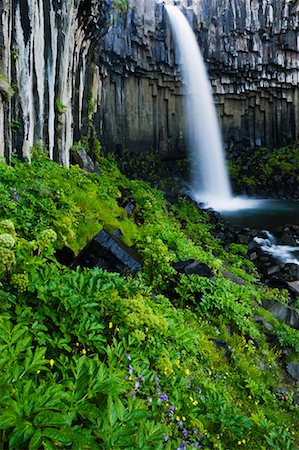 svartifoss waterfall - Svartifoss cascade, Parc National de Skaftafell, Islande Photographie de stock - Rights-Managed, Code: 700-00609803