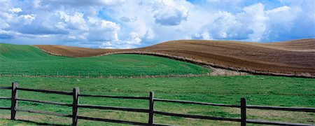 simsearch:700-00603448,k - Spring Wheat Field and Fallow Field, Palouse, Washington, USA Foto de stock - Direito Controlado, Número: 700-00603449