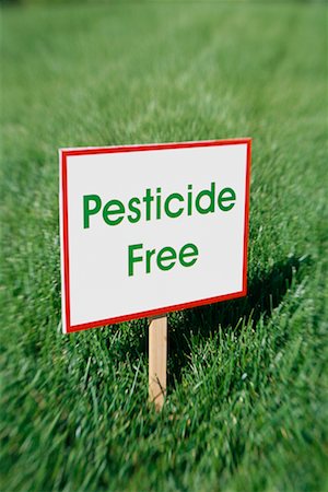 pesticida - Sign on Lawn Foto de stock - Con derechos protegidos, Código: 700-00618660