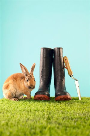 easter in canada - Rabbit, Rain Boots and Spade Foto de stock - Con derechos protegidos, Código: 700-00618741