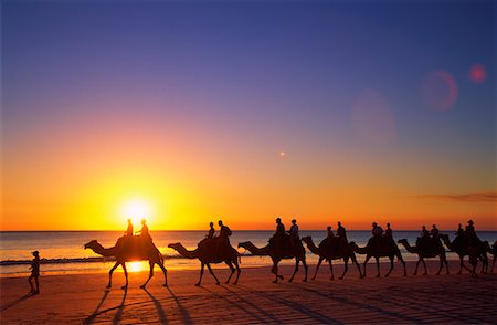 Chameliers, Cable Beach, Broome, Australie-occidentale, Australie Photographie de stock - Rights-Managed, Code: 700-00610109