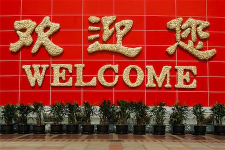 welcome in chinese writing