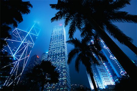 palm tree and office - Skyscrapers at Night, Hong Kong, China Stock Photo - Rights-Managed, Code: 700-00610404