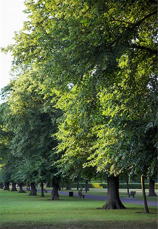 southampton - East Park, Southampton, England Foto de stock - Con derechos protegidos, Código: 700-00610755