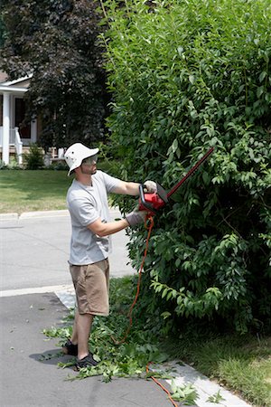 simsearch:700-01172940,k - Man Trimming Hedge Stock Photo - Rights-Managed, Code: 700-00610764