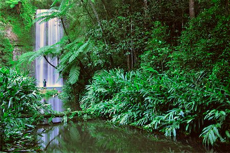 simsearch:700-08146050,k - Homme regardant cascade, Millaa Millaa Falls, Queensland, Australie Photographie de stock - Rights-Managed, Code: 700-00611149