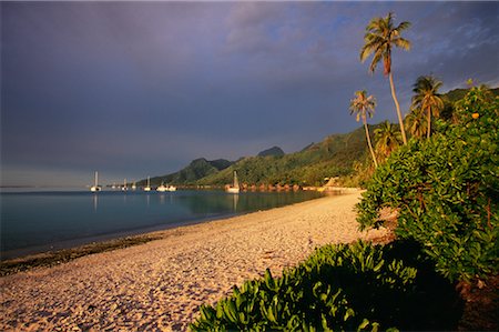 Island of Moorea, French Polynesia Foto de stock - Direito Controlado, Número: 700-00620134