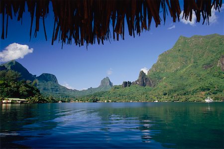 polynesian volcano - Cook's Bay, Moorea, French Polynesia Stock Photo - Rights-Managed, Code: 700-00620155