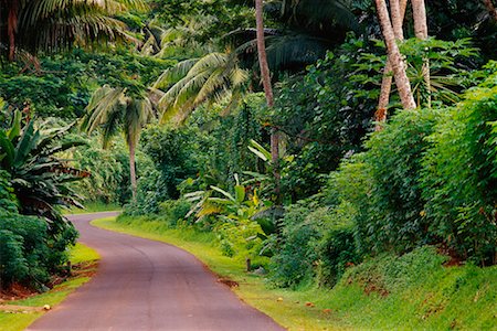 Road Through Tropical Rainforest, Tahiti, French Polynesia Stock Photo - Rights-Managed, Code: 700-00620173