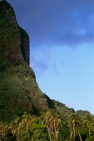 Palm Trees and Mountain Side, Mount Otemanu, Vaitape, Bora Bora, French Polynesia Foto de stock - Con derechos protegidos, Código: 700-00620189