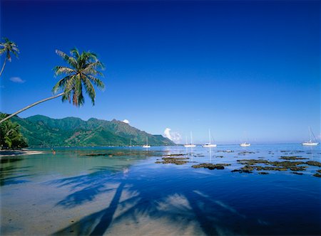 simsearch:700-00620126,k - Sail Boats at Opunohu Bay, Moorea, Tahiti, French Polynesia Foto de stock - Con derechos protegidos, Código: 700-00620211