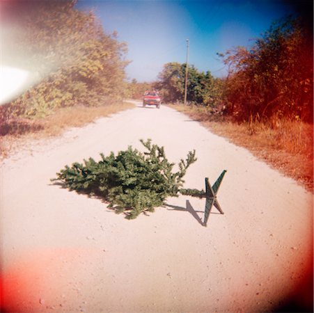 Arbre de Noël sur la route Photographie de stock - Rights-Managed, Code: 700-00623507