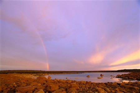 Redrock Lake, Queen Maud Gulf Bird Sanctuary, Nunavut, Canada Stock Photo - Rights-Managed, Code: 700-00639577