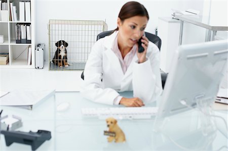 doctor speaking to young patient - Veterinarian Using Phone Stock Photo - Rights-Managed, Code: 700-00644248