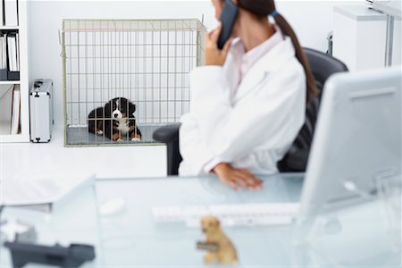 dog looking over shoulder - Veterinarian Using Phone Stock Photo - Rights-Managed, Code: 700-00644250
