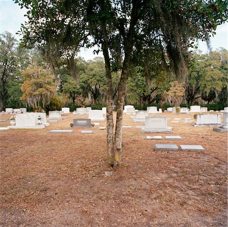 simsearch:862-08091523,k - Bonaventure Friedhof, Savannah, Georgia, USA Stockbilder - Lizenzpflichtiges, Bildnummer: 700-00641223