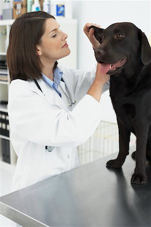 simsearch:700-00641875,k - Veterinarian Office Stock Photo - Rights-Managed, Code: 700-00641868