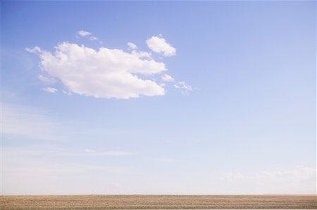 Farmland, Denver, Colorado, USA Stock Photo - Rights-Managed, Code: 700-00642457