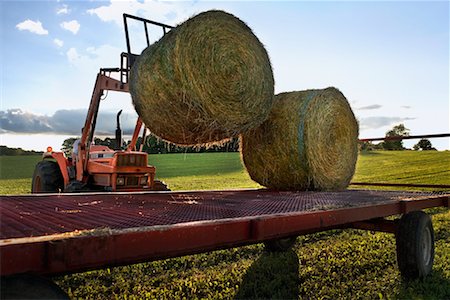 Loading Hay onto Flatbed Stock Photo - Rights-Managed, Code: 700-00651285
