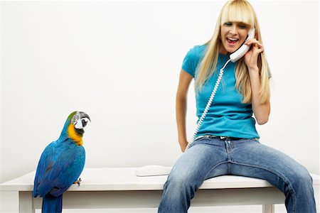 Woman Talking on Phone Beside Blue and Yellow Macaw Foto de stock - Con derechos protegidos, Código: 700-00678825